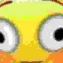 flushnt flushnt