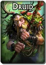 Druid