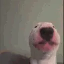 walterPls walterPls