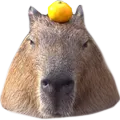 wild wild