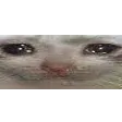 widecri widecri