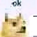 dogeok dogeok