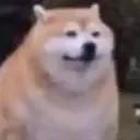 thiccshobe thiccshobe