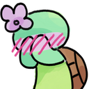 turtleshy