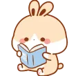 bunnRead