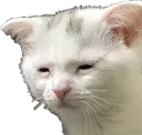 atwhatcost atwhatcost