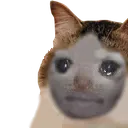 weunpog