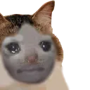 youunpog