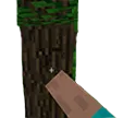 punchtree