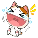 meowhahaha