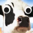 POGGIEWOGGIE