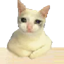 sadsitstarex