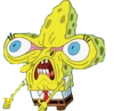 useesponge