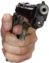 GUN_RIGHT_NPA