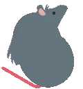7001_rat_bean