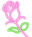 LC_E_NeonRose