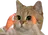 :chatalors: chatalors