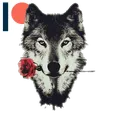 mnmwolfie