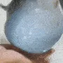 pufferfish