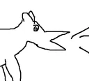 bark