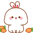 bunLuckyday