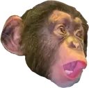 pogchimp pogchimp