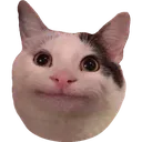 l_