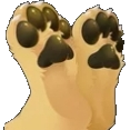 :pawb1: Discord Emote