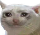 jpp