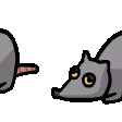 RatSlide