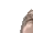 darkChamp11 darkChamp11