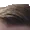 darkChamp12