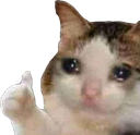 melSad Discord emoji