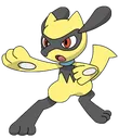 shinyriolu