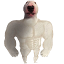 backuphomie_OL