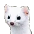 weaspin