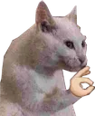 FeelsOkcat Discord Emoji