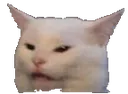 cat_oof cat_oof