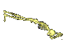 sex