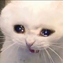 catPAIN Discord emoji