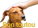 bontoutou
