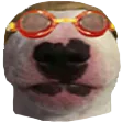 jimmyhDoggo