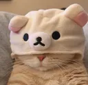 ELY_cathood
