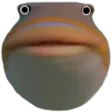 YOUFARTORWHAT