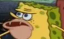 spongegarwtf