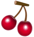 cherry