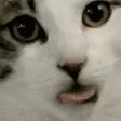 licklick