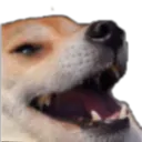 hehehehehe