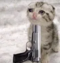 JuicyCat