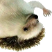 hahaperhaps Discord emoji